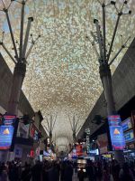 Las Vegas - Fremont Street