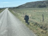 Weiterfahrt nach Fort Laramie