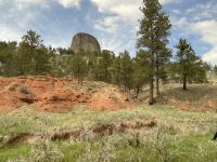 Weiterfahrt nach Devils Tower 