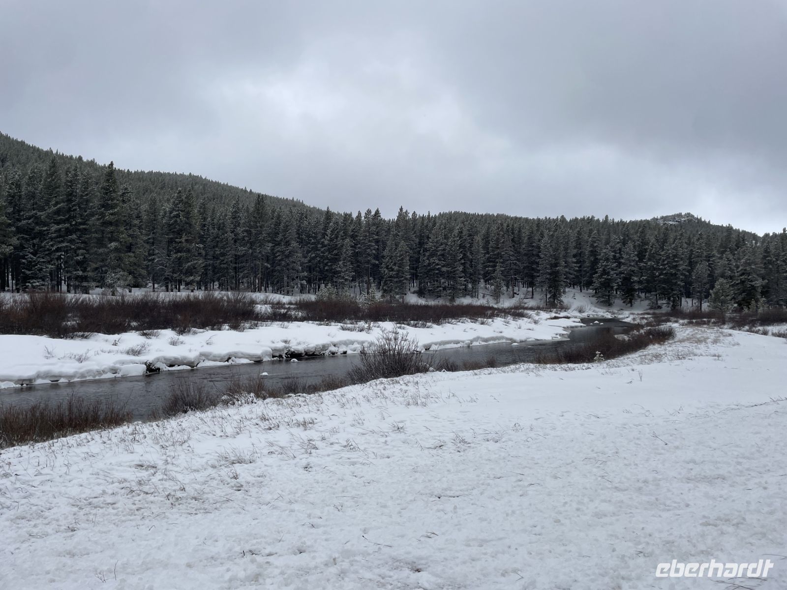 tolle Schneelandschaft im Bighorn National Forest