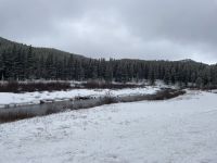 tolle Schneelandschaft im Bighorn National Forest