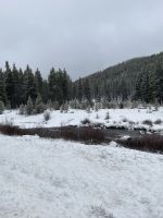 tolle Schneelandschaft im Bighorn National Forest