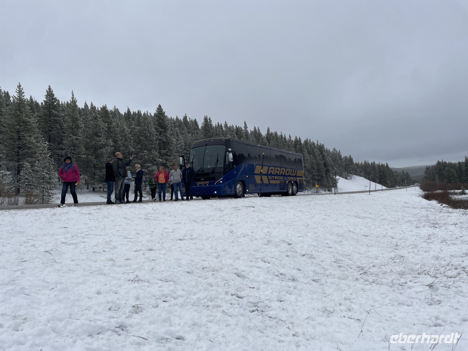 tolle Schneelandschaft im Bighorn National Forest