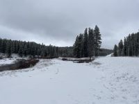 tolle Schneelandschaft im Bighorn National Forest