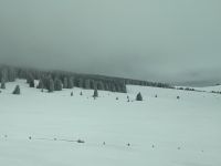 tolle Schneelandschaft im Bighorn National Forest