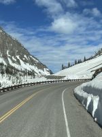 Fahrt durch den Yellowstone Nationalpark