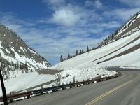 Fahrt durch den Yellowstone Nationalpark