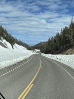 Fahrt durch den Yellowstone Nationalpark