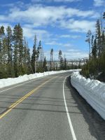 Fahrt durch den Yellowstone Nationalpark