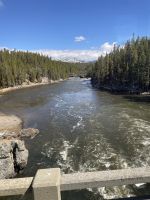 Fahrt durch den Yellowstone Nationalpark