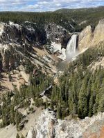 Yellowstone Nationalpark - Lockout Lower Yellowstone Wasserfall