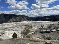 Yellowstone Nationalpark - Mamuth Hot Springs (heiße Quellen)