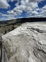Yellowstone Nationalpark - Mamuth Hot Springs (heiße Quellen)