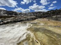 Yellowstone Nationalpark - Mamuth Hot Springs (heiße Quellen)