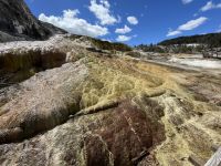 Yellowstone Nationalpark - Mamuth Hot Springs (heiße Quellen)