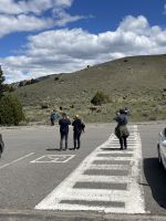 Yellowstone Nationalpark - Bisons