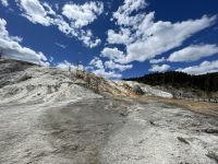 Yellowstone Nationalpark - Mamuth Hot Springs (heiße Quellen)