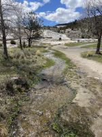 Yellowstone Nationalpark - Mamuth Hot Springs (heiße Quellen)