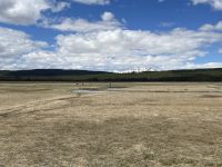 Yellowstone Nationalpark - Bisons