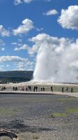 Yellowstone Nationalpark - Geysir Old Faithful