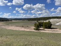 Yellowstone Nationalpark - Geysir Old Faithful