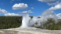 Yellowstone Nationalpark - Geysir Old Faithful