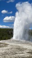 Yellowstone Nationalpark - Geysir Old Faithful