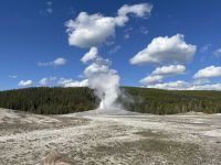 Yellowstone Nationalpark - Geysir Old Faithful