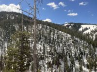 Weiterfahrt zum Teton Nationalpark