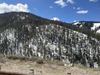 Weiterfahrt zum Teton Nationalpark