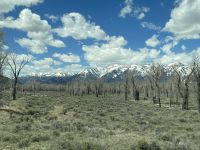 Fahrt durch den Teton Nationalpark