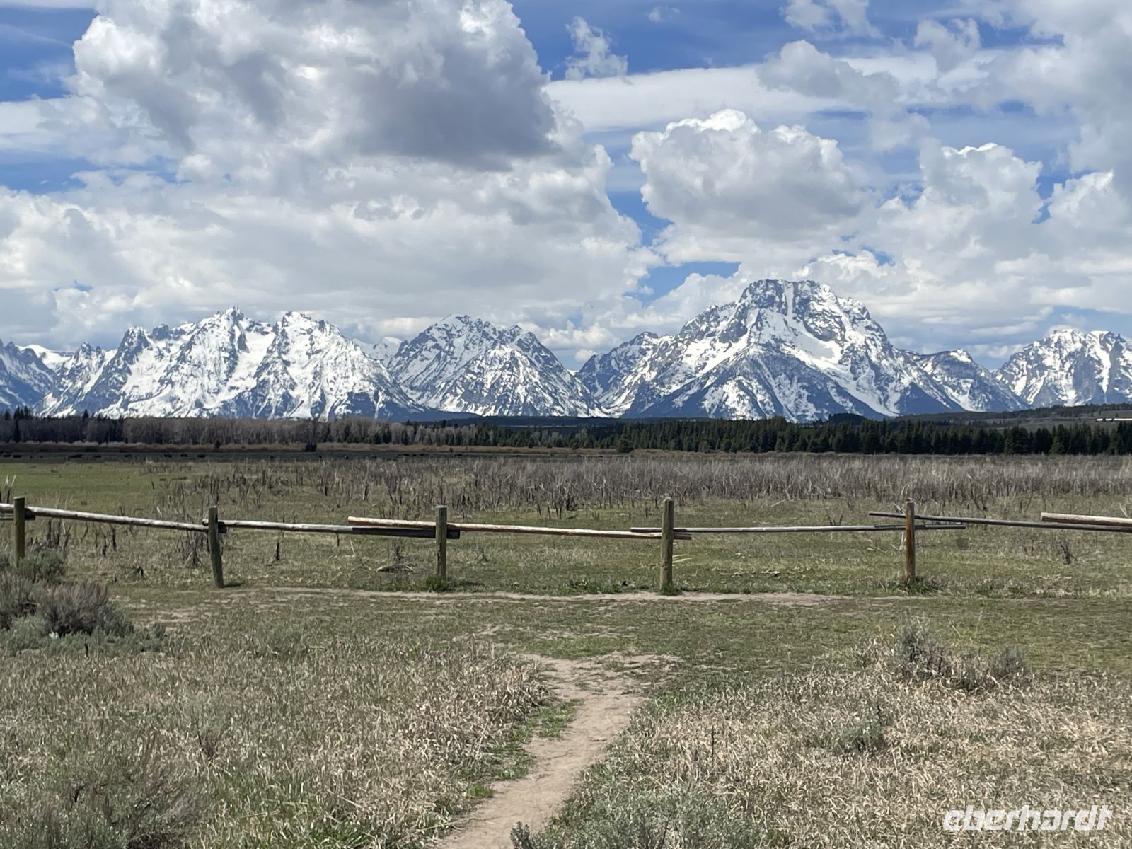 Fahrt durch den Teton Nationalpark - Vorbei an Bisonherden
