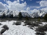 Teton Nationalpark - Fotostopp am Jackson Lake