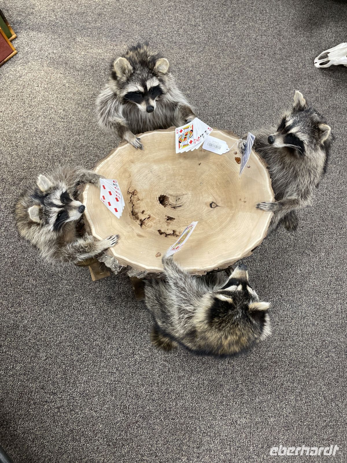 gemütliche Abendrunde in Jackson ;-)