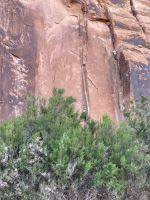 Bootstour auf dem Colorado River 