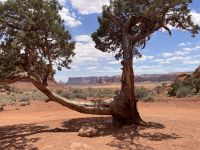  Monument Valley - Jeeptour