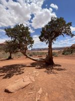  Monument Valley - Jeeptour