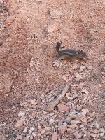 Wanderung durch den Bryce Canyon