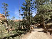 Wanderung durch den Bryce Canyon