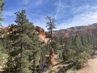 Wanderung durch den Bryce Canyon