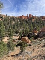 Wanderung durch den Bryce Canyon