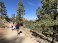 Wanderung durch den Bryce Canyon