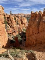 Wanderung durch den Bryce Canyon