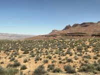 Weiter zum Grand Canyon 