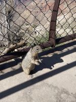 Grand Canyon - Rundgang am  Matter Point