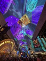 Las Vegas Nighttour - Freemont Street