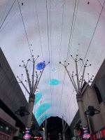 Las Vegas Nighttour - Freemont Street