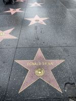 Los Angeles - Hollywood - Rundgang am Walk of Fame