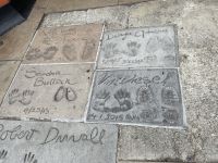 Los Angeles - Hollywood - Rundgang am Walk of Fame