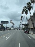 Los Angeles - Fahrt durch Hollywood 